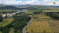 Hingga 2019 yang sudah tertangani (aspal) sepanjang 145,17 km. Tahun 2020, direncanakan penambahan hingga 164,57 km sementara sisanya akan dituntaskan pada tahun 2021 mendatang.Foto: Dok. Kementerian PUPR