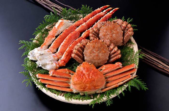 ngidam makanan