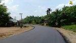 Kado buat Petani Karet Biar Bertahan di Tengah Corona