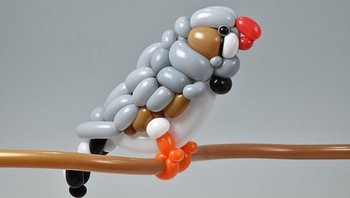 Saya mulai membuat balon seni ketika saya berada di klub juggling 12 tahun yang lalu, ujarnya seperti dilansir dari Bored Panda. (Foto: Instagram/Masayoshi Matsumoto)