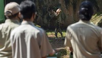 Siaran langsung polah dua harimau bernama Hana dan Tino itu bertujuan untuk memberikan wawasan tentang satwa dan hiburan kepada masyarakat selama masa pandemi COVID-19.