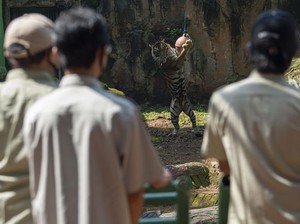 Jelang Buka, Ragunan Batasi Pengunjung Khusus Warga Jakarta
