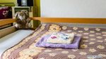 Mewahnya Rumah Karantina COVID-19 Buat Gelandangan di Jerman
