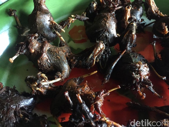 Kelelawar Bacem di Gunungkidul