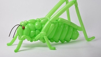 Masayoshi pun juga tertarik pada binatang dan serangga sejak dia masih kecil.  (Foto: Instagram/Masayoshi Matsumoto)