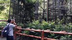 Gembira Loka Zoo Yogya Potong Gaji Karyawan Imbas Corona