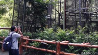 Suasana Gembira Loka (GL) Zoo, Kota Yogyakarta di tengah pandemi Corona, Senin (18/5/2020).