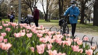 Cantiknya alam Kanada juga sering dijadikan sebagai background Zoom oleh traveler. Bersama dengan Brasil, Kanada duduk di peringkat kelima. (Justin Tang/The Canadian Press via AP)