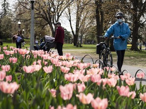 Pejabat Ontario Kecam Kerumunan yang Terjadi di Taman Toronto Saat Pandemi