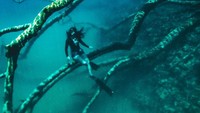 Dengan projek bersama pesona Indonesia yang mengunjungi beberapa destinasi Kalimantan Timur, Jihane berkesempatan menyelami Danau Labuan Cermin. (Jihane Almira/Instagram)