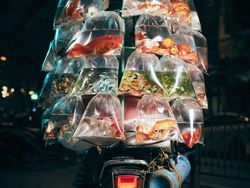 Menghipnotis Mata! Deretan Foto Jawara Kontes Foto Smithsonian