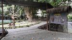 Gembira Loka Zoo Yogya Potong Gaji Karyawan Imbas Corona