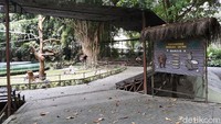 Direktur Utama (Dirut) GL Zoo, KMT A Tirtodiprojo mengatakan, pihaknya harus memutar otak agar operasional GL Zoo tetap berjalan meski tanpa adanya pendapatan dari tiket masuk.