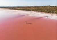 Розовое Озеро В Испании