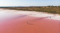 Inilah danau paling pink yang memukau, Las Salinas de Torrevieja di Spanyol. Warna pink danau dihasilkan oleh melimpahnya mikroorganisme. Ribuan flamingo akan memadatinya saat musim kawin tiba.