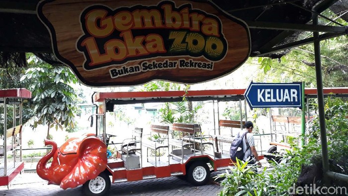 Manajemen Gembira Loka (GL) Zoo, Kota Yogyakarta terpaksa memotong gaji karyawan. Cadangan anggaran GL Zoo hanya mampu bertahan hingga bulan Agustus mendatang.