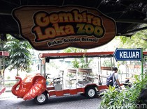 Pemilik Nama Seperti Capres-Cawapres Bisa Masuk ke Gembira Loka  Zoo Gratis!