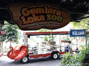 Apa Saja Koleksi Satwa di Kebun Binatang Gembira Loka Jogja? Ini Daftarnya