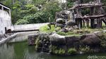 Gembira Loka Zoo Yogya Potong Gaji Karyawan Imbas Corona