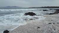 Bersatu dengan pasir pantai hitam dan batuan vulkanik, terumbu karang itu tak ubahnya dengan popcorn berwarna putih (Facebook)