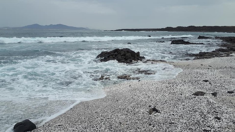 Pantai Fuerteventura Pantai dengan pasir unik di Kepulauan Canary, Spanyol.