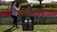 Selama menikmati festival tulip, warga tetap harus mengikuti protokol kesehatan.