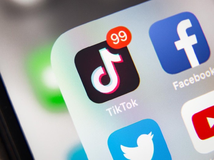 Tyumen, Russia - January 21, 2020: TikTok and Facebook application  on screen Apple iPhone XR