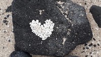 Secara teknis, pasir pantai berbentuk popcorn itu merupakan fosil terumbu karang bernama rhodolith berumur 250 tahun yang tercipta alami dari terumbu karang yang terkena erosi dan terbawa ke bibir pantai (Facebook)