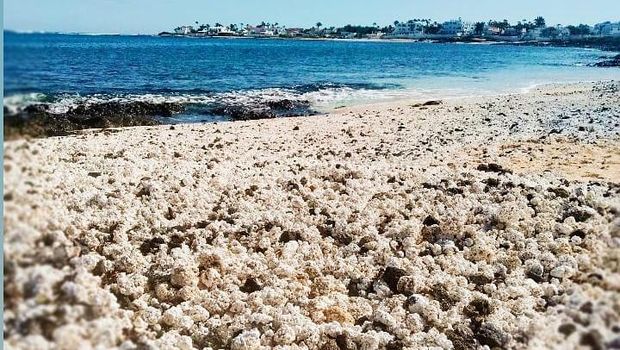 Pantai dengan pasir unik di Kepulauan Canary, Spanyol.