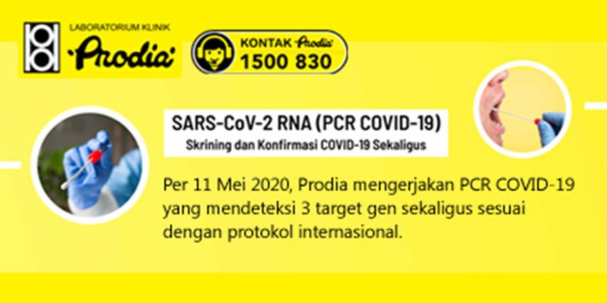 Dukung Upaya Pemerintah Prodia Sediakan Pemeriksaan Pcr Covid 19 Dukung Upaya Pemerintah Prodia Sediakan Pemeriksaan Pcr Covid 19