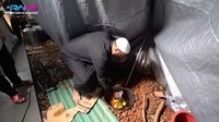 Nasi mandi buatannya saat itu istimewa karena dimasak di dalam lubang. Syekh Ali Jaber bahkan turun sendiri menggali lubang. Foto: YouTube Rans Entertainment