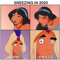 Kalau dulu rasanya melihat orang lain bersin adalah hal yang biasa, tapi kalau saat ini hal itu seperti layaknya sebuah ancaman besar. Lihat saja muka Aladdin yang panik saat melihat putri Jasmine bersin di dekatnya.Foto: Instagram @aldoarts