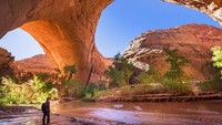 Taman Nasional Arches, AS memiliki keajaiban alam yang aneh. Karena, di wilayah seluas 76.679 hektar inilah tersebar lengkungan batu pasir merah alami dan ada yang terbesar kelima di dunia.