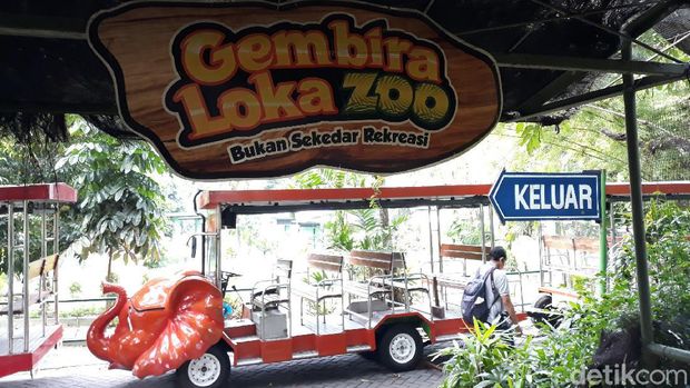 Suasana Gembira Loka (GL) Zoo, Kota Yogyakarta di tengah pandemi Corona, Senin (18/5/2020).