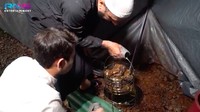 Menurutnya ulama asal Madinah ini, proses memasak dalam lubang memungkinkan nasi mandi lebih enak karena lemak kambing akan menetes ke bawah nasi. Foto: YouTube Rans Entertainment