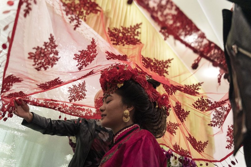 Kontes Foto Smithsonian