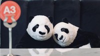 Maka Natthwut pun mengubah suasana tersebut menjadi lebih menyenangkan dengan meletakkan satu boneka di kursinya. Saat tak ramai orang yang datang, boneka tersebut juga ada yg diletakan berdampingan loh. Seperti ini.