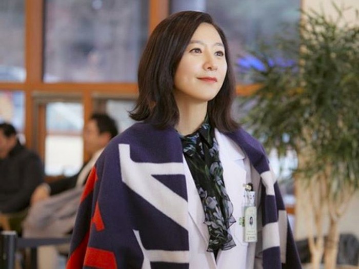 Kim Hee-Ae The World of The Married
