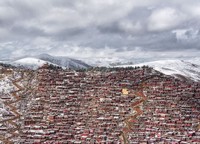 Kontes Foto Smithsonian