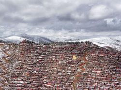 Menghipnotis Mata! Deretan Foto Jawara Kontes Foto Smithsonian