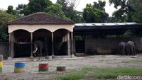 Karyawan GL Zoo ada yang berstatus tetap, kontrak, outsourcing dan casual. Karyawan casual dibutuhkan saat hari-hari ramai sebagai freelance.  