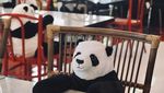 Cara Unik Resto di Thailand, Pelanggan Ditemani Panda