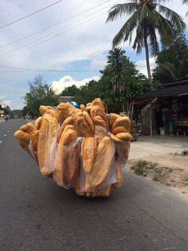 Roti Raksasa Vietnam