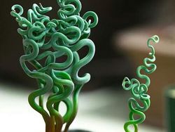 Tanaman Dengan Bentuk Lucu, Kayak Mainan!