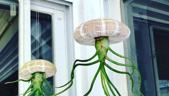 Mirip ubur-ubur ya kalau begini. Foto: yoart2 via Bored Panda