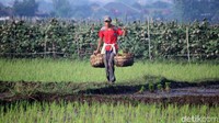 Mereka tetap bekerja di tengah pandemi Corona (COVID-19).