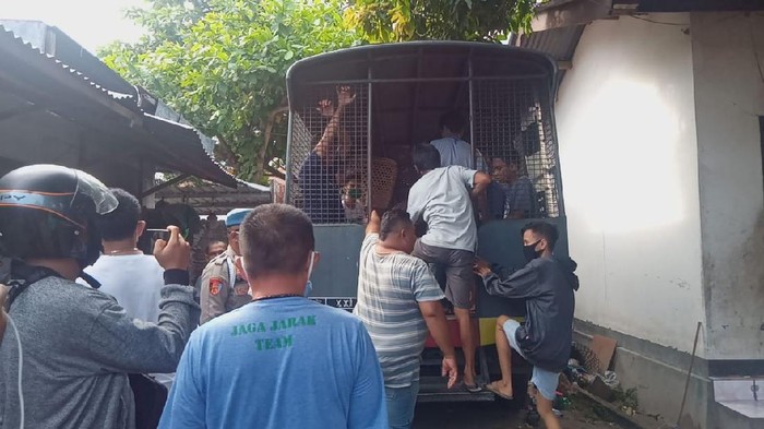 Polresta Mataram menangkap 8 penjudi sabung ayam (dok. Istimewa)