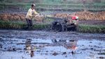 Petani di Bandung Tetap Garap Sawah di Tengah Pandemi