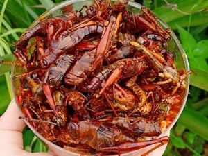 Tunda Mudik Tetap Bisa Pulang Kampung dan Dapat Gudeg Kendil hingga Walang Goreng