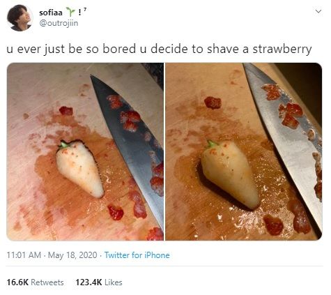 Netizen gabut kupas stroberi